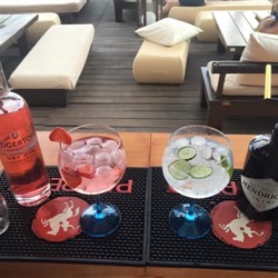 Ristorante Paglicce Beach - photo 3