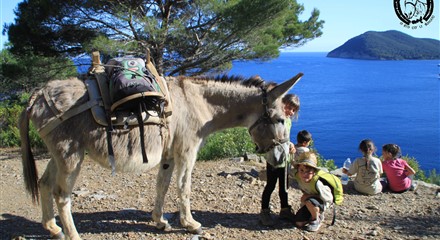 Somareria dell'Elba