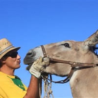Somareria dell'Elba - photo 4