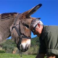 Somareria dell'Elba - photo 2