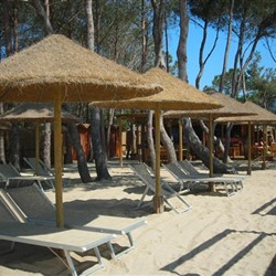Stabilimento Paglicce Beach - photo 5