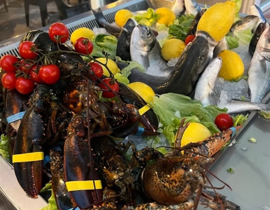 Ristorante Il Timone - photo 1
