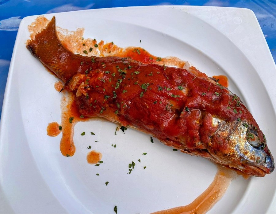 Pescaturismo La barca dei Matti - photo 1