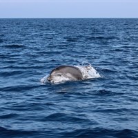 Ultima Partenza Campo Estivo in Barca a Vela Ragazzi/e 7-14 anni