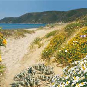 Circular in the dunes
