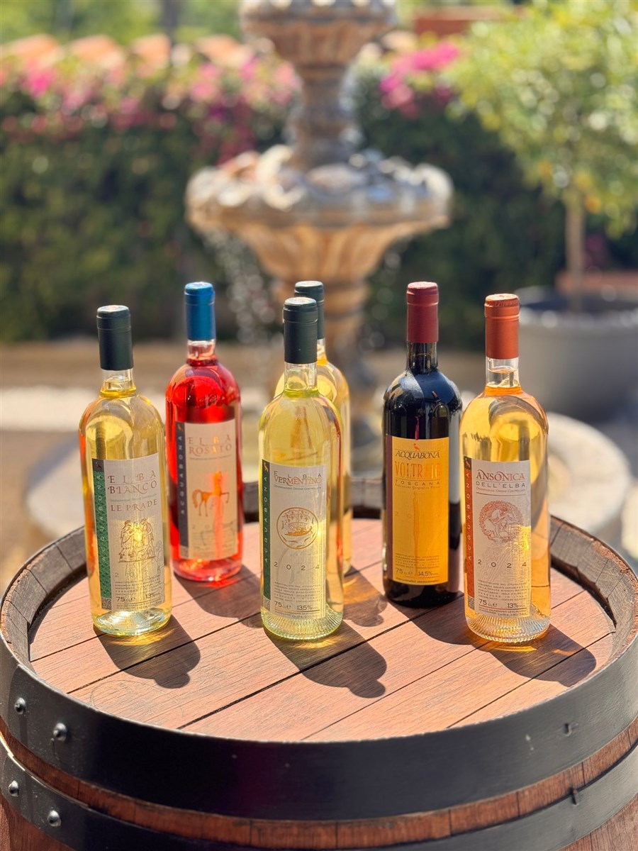 🍷 Giovedì del Moro: sapori d’autore e vini dell’Isola d’Elba
