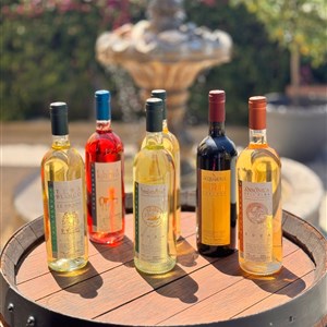 🍷 Giovedì del Moro: sapori d’autore e vini dell’Isola d’Elba