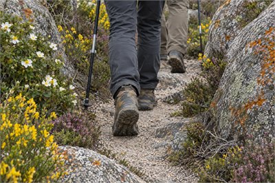 Elba Walking Festival