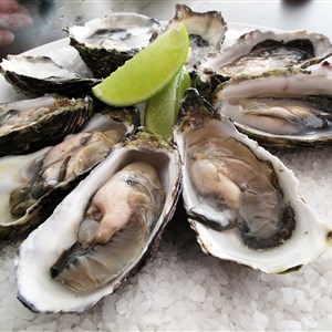 Aperitif with Oysters