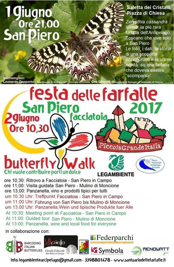 BUTTERFLY FEST