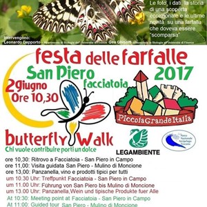 BUTTERFLY FEST