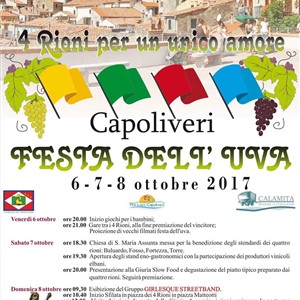 FESTA DELL'UVA