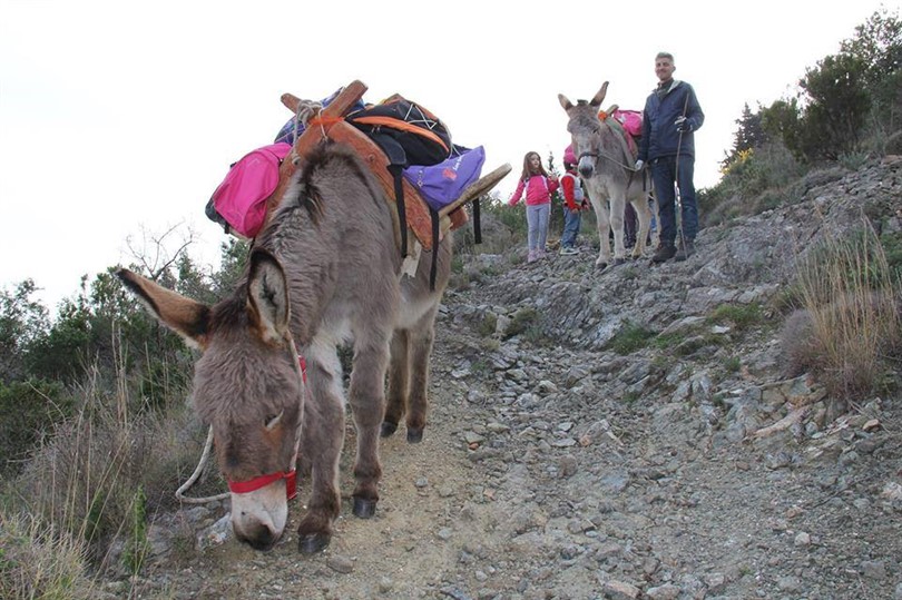 Trekking on the Granit Way with Somareria Dell'Elba