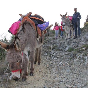 Trekking on the Granit Way with Somareria Dell'Elba