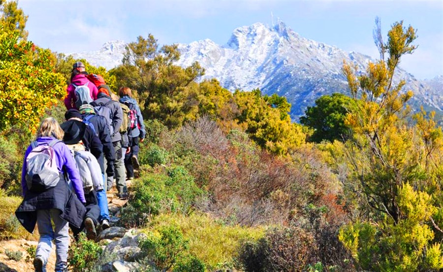 WALKING FESTIVAL -  IL RAGGIO VERDE