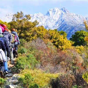 WALKING FESTIVAL -  IL RAGGIO VERDE