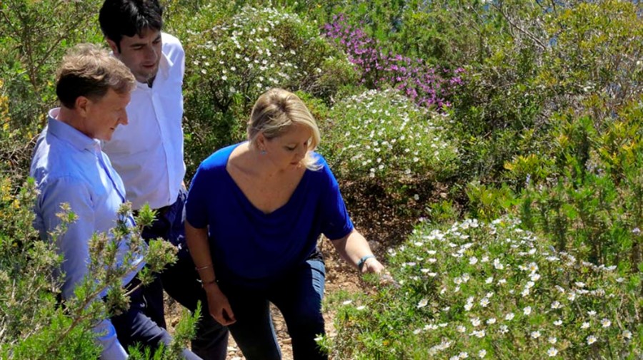 Walk through the Perfume Trail