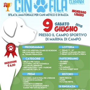 Festa Cinofila - Sfilata amatoriale