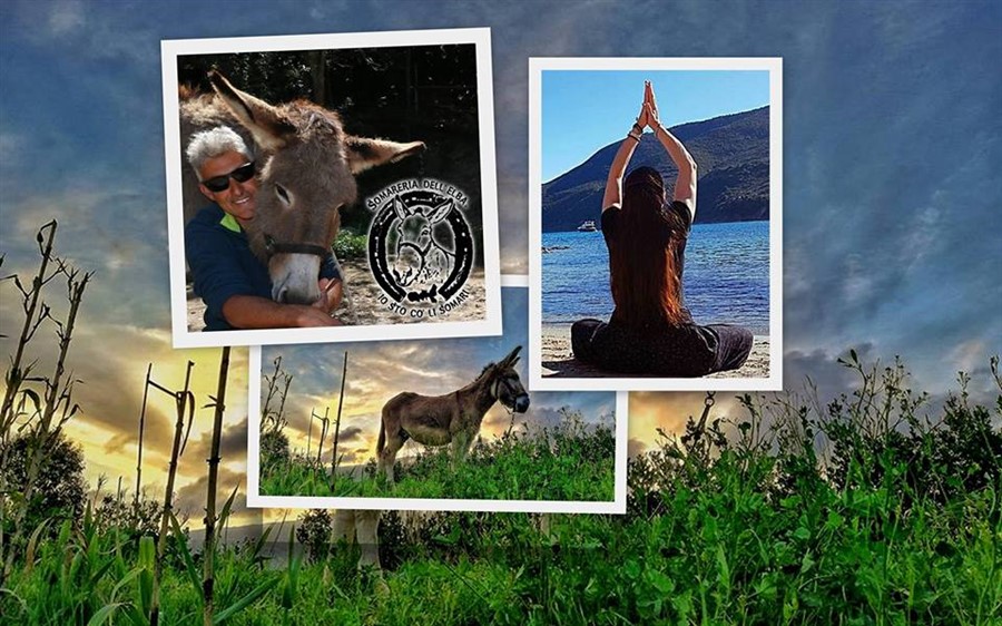 YOGA IN SOMARERIA!
