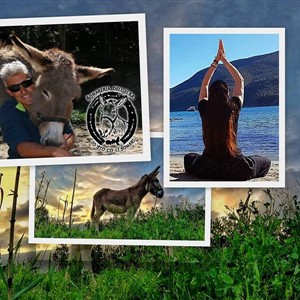 YOGA IN SOMARERIA!