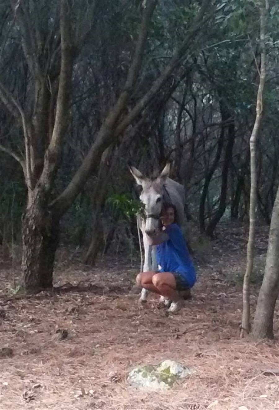 Forest Bathing alla Somareria dell'Elba