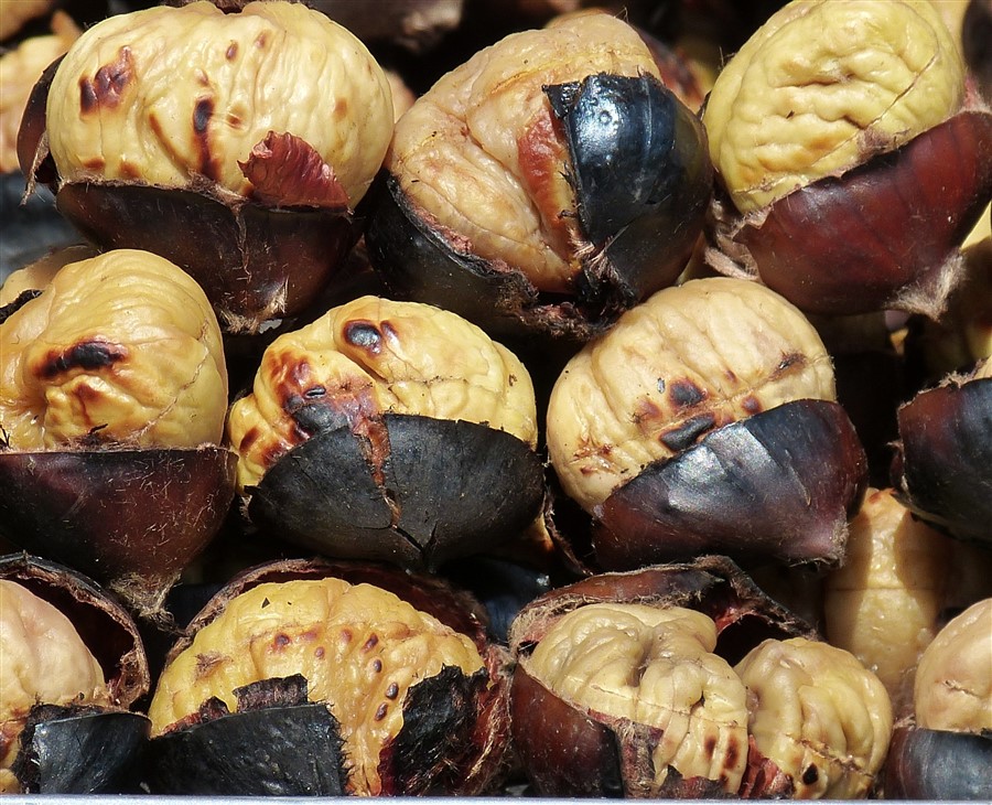 CASTAGNATA 2018
