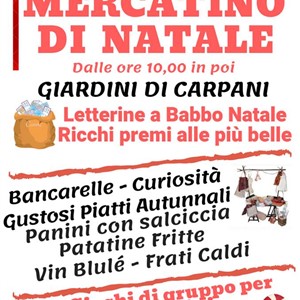 Christmas Market in Carpani