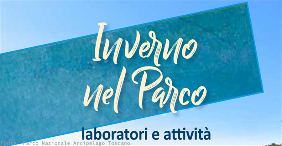 Educational workshop: from milk to cheese