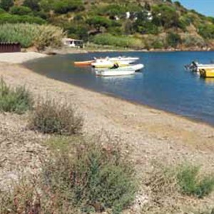 International Wetlands Day