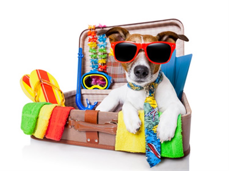 ElbaMyLove is Animal Friendly! The DOGBAR Enpa initiative is back!