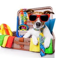 ElbaMyLove is Animal Friendly! The DOGBAR Enpa initiative is back!