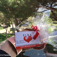 Bienvenue de Marina di Campo aux blogueurs de #myelbatour15