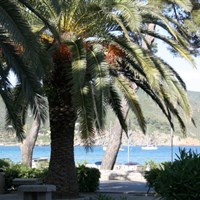 Thanks to ElbaMyLove, the leading Dutch travel blog about Italy writes three articles on Elba