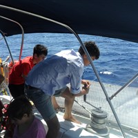 ÉTÉ À L'ÎLE D'ELBE : POUR LES ENFANTS UNE INCROYABLE AVENTURE À LA RECHERCHE DE BALEINES ET DE DAUPHINS