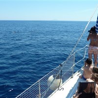 ÉTÉ À L'ÎLE D'ELBE : POUR LES ENFANTS UNE INCROYABLE AVENTURE À LA RECHERCHE DE BALEINES ET DE DAUPHINS