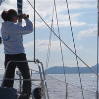ÉTÉ À L'ÎLE D'ELBE : POUR LES ENFANTS UNE INCROYABLE AVENTURE À LA RECHERCHE DE BALEINES ET DE DAUPHINS