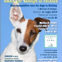 Insieme a ENPA ed ELBAMYPETS l’Isola d’Elba è pronta ad accogliere anche i vostri amici a 4 zampe!!!