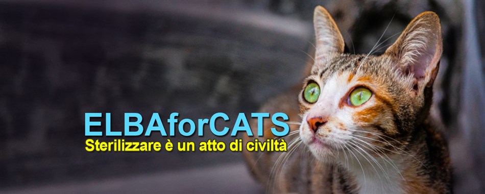 Kastration ist ein Akt der Zivilisation! ElbaMyLove unterstützt ELBAforCATS