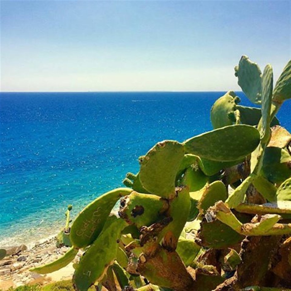 Alla scoperta dell’Isola d’Elba… SECCHETO