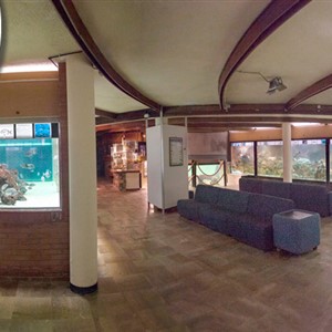 DAS ACQUARIO DELL'ELBA eröffnet die Saison mit vielen Initiativen