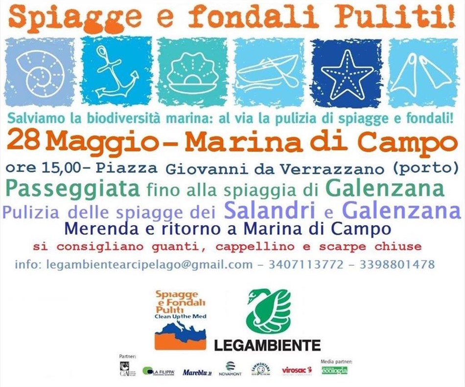 Clean Beaches with Legambiente