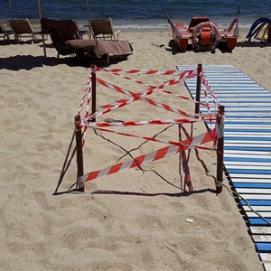 MARINA DI CAMPO e la TARTARUGHE… un feeling meraviglioso!