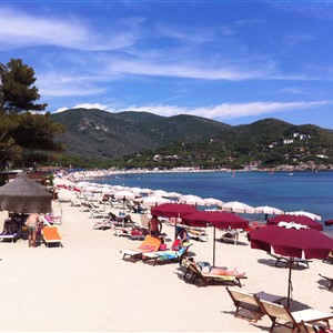 MARINA DI CAMPO e la TARTARUGHE… un feeling meraviglioso!