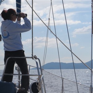 MARINA DI CAMPO e la TARTARUGHE… un feeling meraviglioso!