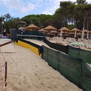 A MARINA DI CAMPO SONO NATE 103 TARTARUGHINE  !