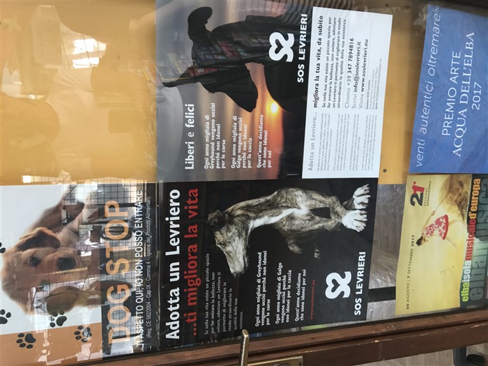 The ISLAND OF ELBA is more and more PET FRIENDLY... said also by SOS Levrieri!