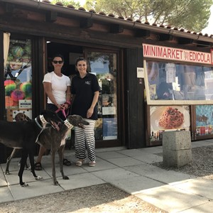 The ISLAND OF ELBA is more and more PET FRIENDLY... said also by SOS Levrieri!