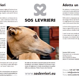 The ISLAND OF ELBA is more and more PET FRIENDLY... said also by SOS Levrieri!
