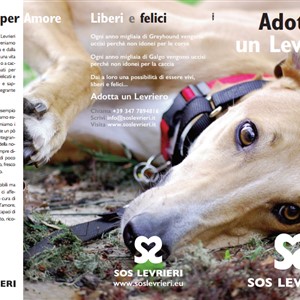 The ISLAND OF ELBA is more and more PET FRIENDLY... said also by SOS Levrieri!