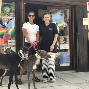 L'ISOLA D'ELBA è sempre più PET FRIENDLY... parola di SOS Levrieri!